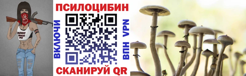 Галлюциногенные грибы Psilocybe  Валдай 